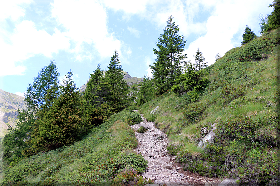 foto Da Forcella Montalon a Val Campelle